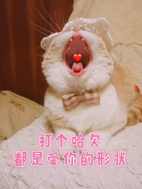 打个哈欠都是爱你的形状（打个哈欠都是爱你的形状）