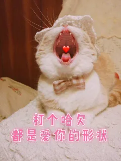 打个哈欠都是爱你的形状