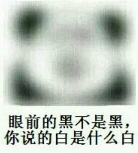 眼前黑不是黑，你说的白是什么白