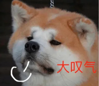 大叹气