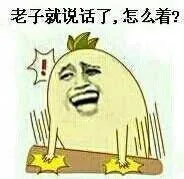 老子就说话了，怎么着（老子就说话了，怎么着）