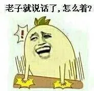 老子就说话了，怎么着