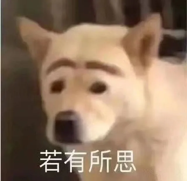 若有所思（若有所思）