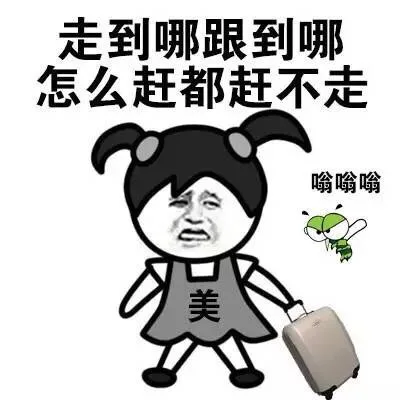 走到哪跟到哪 怎么赶都赶不走