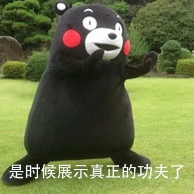 是时候展示真正的功夫了_熊本熊_功夫_卡通_萌萌哒表情包