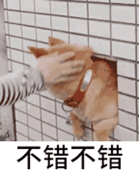 不错 不错