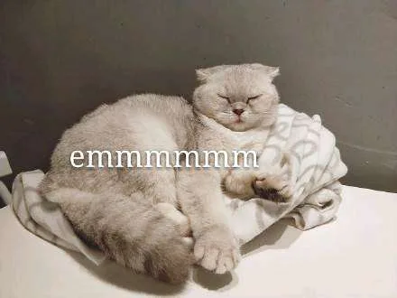 emmm（emmm）