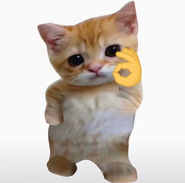 小猫咪自拍表情包（小猫咪自拍表情包）