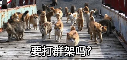 要打群架吗（要打群架吗）
