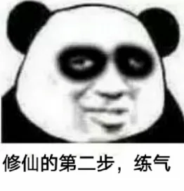 修仙的第二步,练气（修仙的第二步,练气）