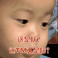 这是啥？这 TM 又是啥？（这是啥？这 TM 又是啥？）