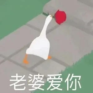 老婆爱你