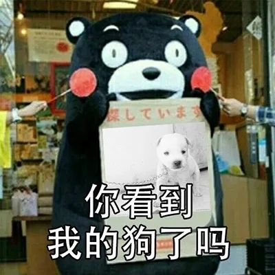 你看到我的狗了吗