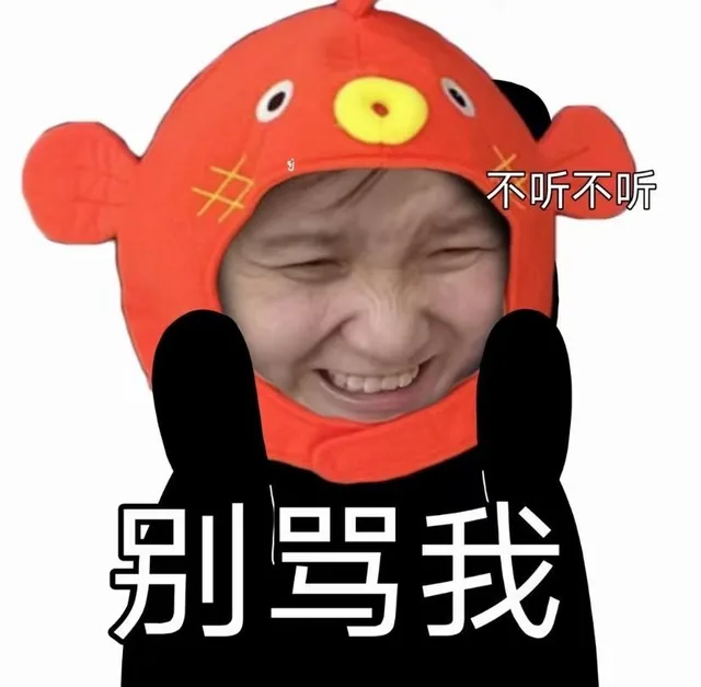 不听不听别骂我（不听不听别骂我）
