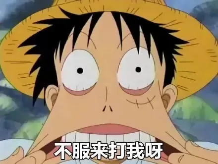 不服来打我呀（海贼王）