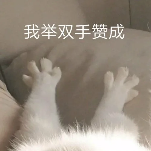我举双手赞成（我举双手赞成）