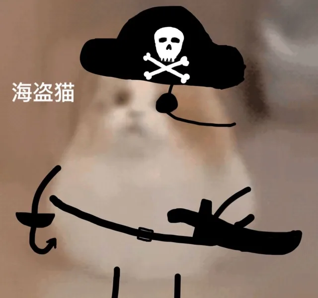 海盗猫（海盗猫）