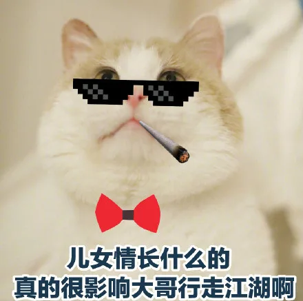女儿情长什么的，真的很影响大哥行走江湖啊（女儿情长什么的，真的很影响大哥行走江湖啊）