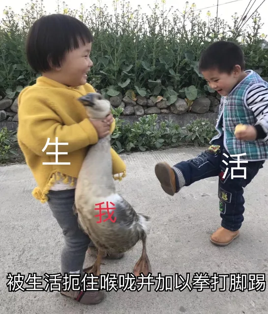 斗图表情包原图精选-2018/3/26