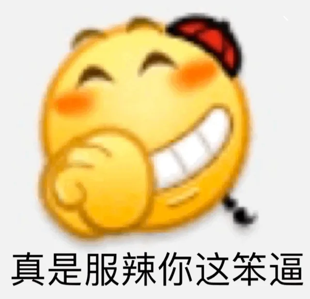 真是服辣你这笨逼（真是服辣你这笨逼）