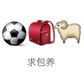 求包养