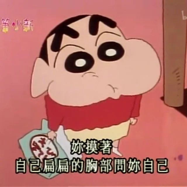 你摸着自己扁扁的胸部问自己（你摸着自己扁扁的胸部问自己）