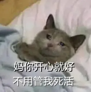 妈你开心就好不用管我死活