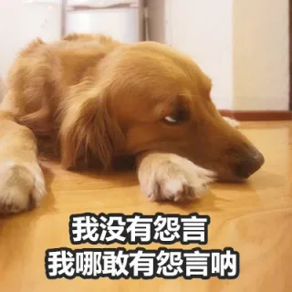 我没有怨言我哪敢有怨言呐