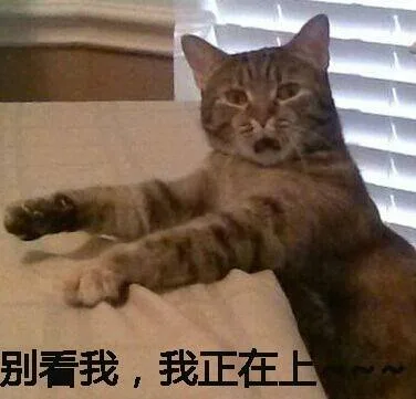 别看我，我正在上~~