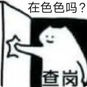 猫猫表情包 查岗！