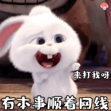 来打我呀 有本事顺着网线来到我（兔子表情包）