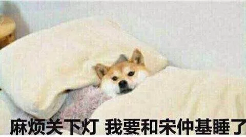 麻烦关下灯 我要和宋仲基睡了