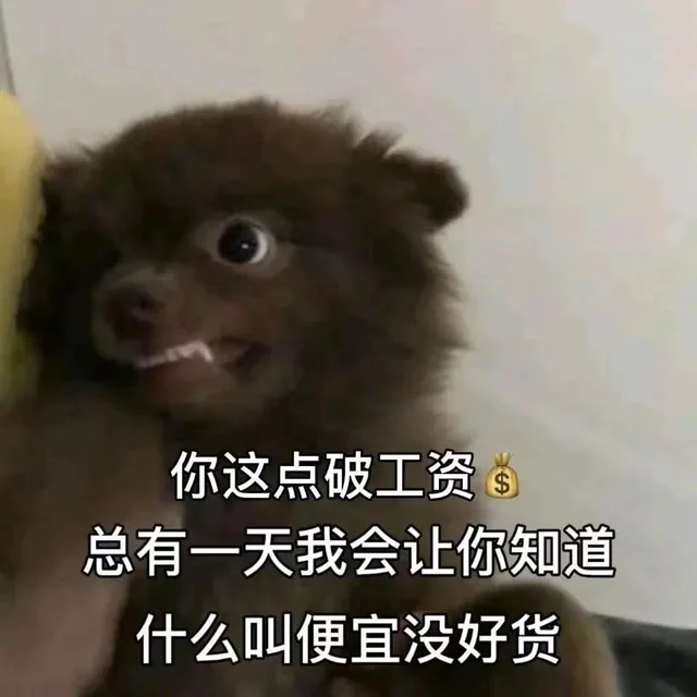 你这点破工资总有一天我会让你知道什么叫便宜没好货（你这点破工资总有一天我会让你知道什么叫便宜没好货）