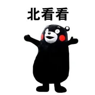 北看看