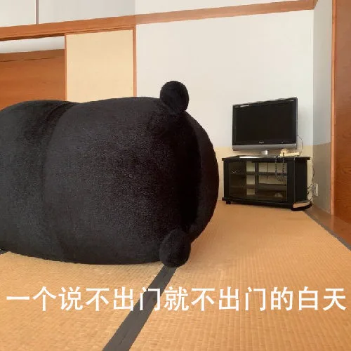 一个说不出门就不出门的白天（一个说不出门就不出门的白天）