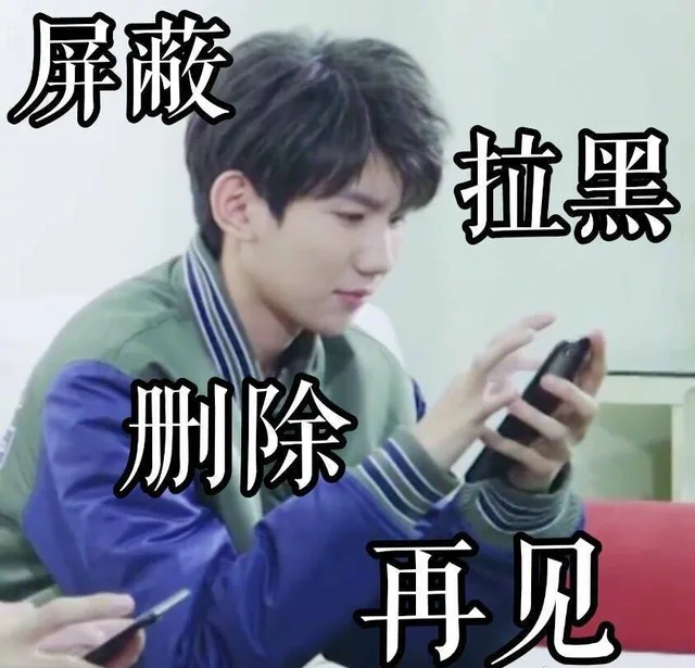屏蔽 拉黑 删除 再见（王源表情包）