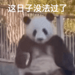 这日子没法过了（这日子没法过了）