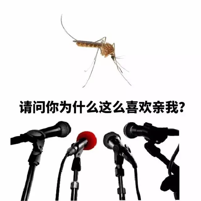 请问你为什么这么喜欢亲我？