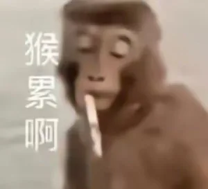 猴累啊（猴累啊）