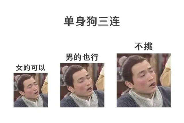 单身狗三连不挑男的也行女的可以（单身狗三连不挑男的也行女的可以）