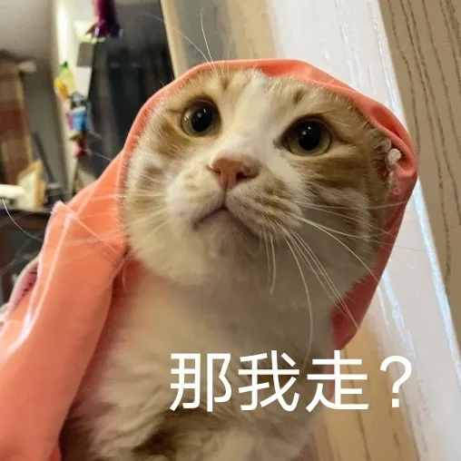那我走?（那我走?）