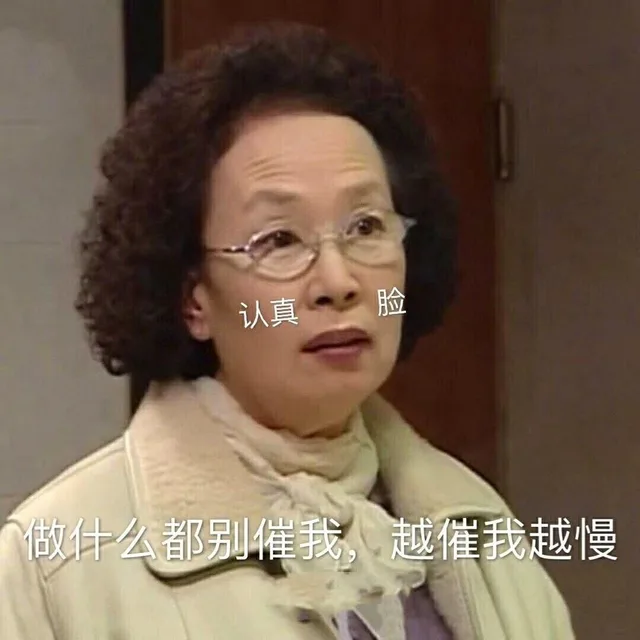 认真脸做什么都别催我,越催我越慢