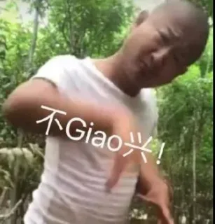 不giao兴！不高兴