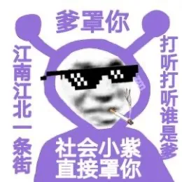爹罩你江南江北一条街打听打听谁是社会小紫直接罩你