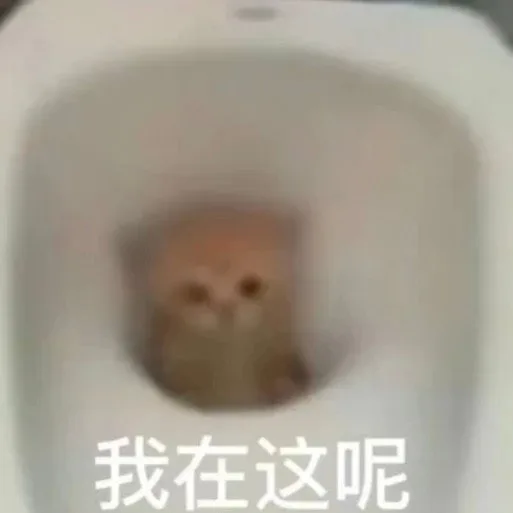 我在这呢（我在这呢）
