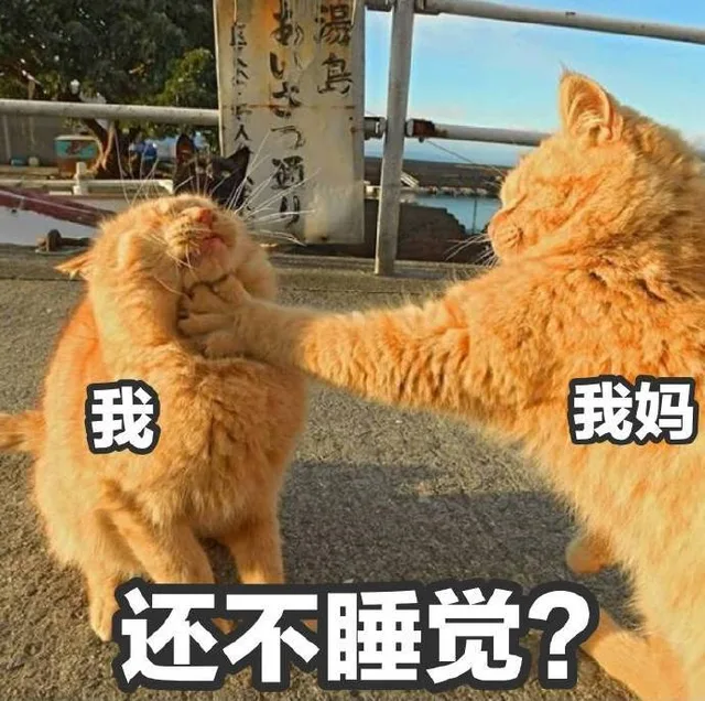 我妈锁喉我：还不睡觉？（我妈锁喉我：还不睡觉？）