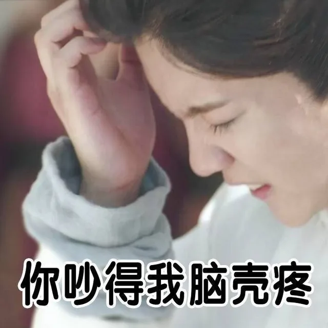 你吵得我脑壳疼