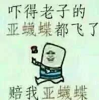 吓得老子的雅魅蝶都飞了，赔我雅魅蝶