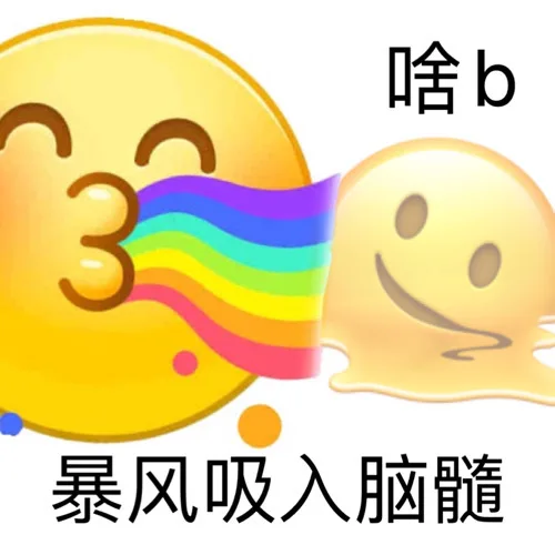 啥b暴风吸入脑髓