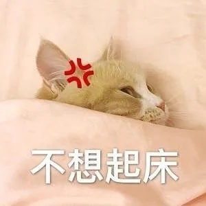 不想起床